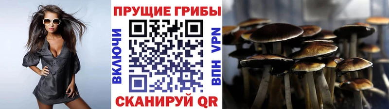 Галлюциногенные грибы мухоморы  цены наркотик  Джанкой 